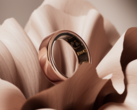 Può l'Oura ring 4 battere il Samsung Galaxy ring in termini di design e di pagamenti senza contatto? (Fonte: Oura)