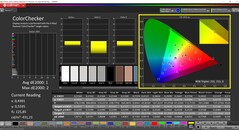 CalMAN ColorChecker (profilo: P3, spazio colore di destinazione: P3)