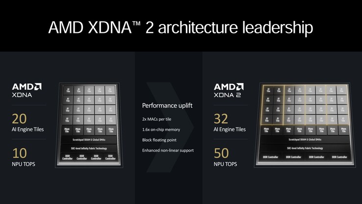 Panoramica di AMD XDNA2 (fonte: AMD)