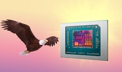 AMD Bald Eagle Point, se non verrà rottamato, potrebbe essere rilasciato l&#039;anno prossimo. (Fonte immagine: AMD, FlashBuddy, modificato)