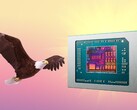 AMD Bald Eagle Point, se non verrà rottamato, potrebbe essere rilasciato l'anno prossimo. (Fonte immagine: AMD, FlashBuddy, modificato)