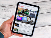 Apple recensione dell'iPad mini 7. (Fonte: Daniel Schmidt)