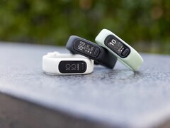 Garmin ha rilasciato un nuovo aggiornamento del firmware per il Vivosmart 5. (Fonte: Garmin)