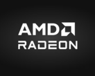 Sono emerse online nuove informazioni sulla RX 9060 XT (fonte: AMD)