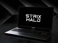 L&#039;AMD Ryzen AI Max Plus 395 si unirà alle altre controparti Strix Halo al CES 2025 (fonte immagine: AMD, a cura)