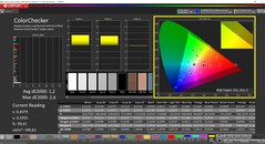 CalMAN ColorChecker (profilo: P3: spazio colore di destinazione: P3)