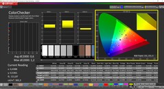 CalMAN ColorChecker (profilo: P3, spazio colore di destinazione: P3)