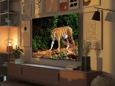 I televisori Fire TV Omni mini-LED di Amazon hanno un sensore di luce che regola automaticamente la qualità dell'immagine in base alla luce ambientale. (Fonte: Amazon)