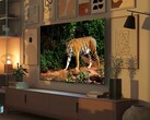 I televisori Fire TV Omni mini-LED di Amazon hanno un sensore di luce che regola automaticamente la qualità dell'immagine in base alla luce ambientale. (Fonte: Amazon)