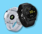 Garmin sta distribuendo la versione beta 21.18 agli orologi Forerunner 255 (sopra) e Forerunner 955. (Fonte: Garmin)