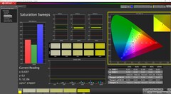 Saturazione calibrata