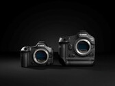 Canon EOS R5 Mark II (sinistra) e R1 (destra) (Fonte: Canon)