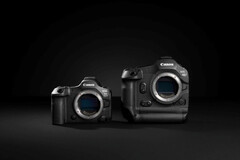 Canon EOS R5 Mark II (sinistra) e R1 (destra) (Fonte: Canon)