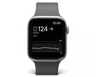 Apple Gli utenti di orologi possono già monitorare i loro livelli di zucchero nel sangue quando utilizzano i dispositivi Dexcom. (Fonte: Dexcom)