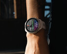 Garmin sta già indagando sui problemi segnalati che riguarderebbero la versione stabile 21.19. (Fonte: Garmin)