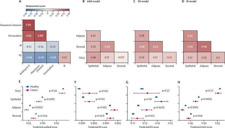 La classificazione dei tessuti e la futura diagnosi del cancro. (Fonte: The Lancet Digital Health)