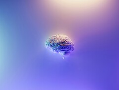 La Nano-MIND utilizza minuscole particelle magnetiche iniettate in regioni cerebrali specifiche. (Fonte immagine: Milad Fakurian / Unsplash)