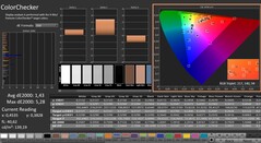 CalMAN: ColorChecker (calibrato)