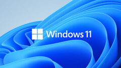 Windows 11 (Fonte: Microsoft)