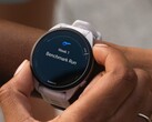 Alcuni smartwatch Garmin Forerunner stanno ricevendo l'aggiornamento beta versione 21.16. (Fonte: Garmin)