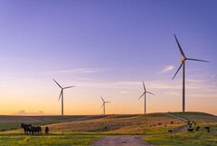 Parco eolico Smokey Hills di Enel. Immagine di riferimento. (Fonte: Enel)