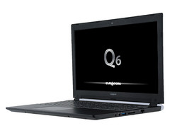 Recensione: Eurocom Q6. Modello di test fornito da Eurocom US