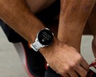 Garmin ha lanciato la versione beta 20.21 per il Forerunner 955. (Fonte: Garmin)