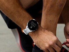 Garmin ha lanciato la versione beta 20.21 per il Forerunner 955. (Fonte: Garmin)