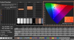 CalMAN: ColorChecker (calibrato)