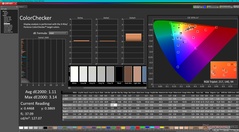 ColorChecker dopo la calibrazione