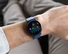 Si dice che la versione beta 13.17 di Garmin migliori la metrica Body Battery per alcuni smartwatch. (Fonte: Garmin)