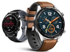 Il Huawei GT 2 sta ancora ricevendo aggiornamenti software, nonostante sia stato sostituito dal Watch GT 2 Pro. (Fonte: Huawei)