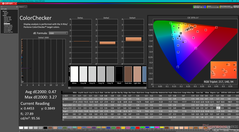 ColorChecker dopo la calibrazione