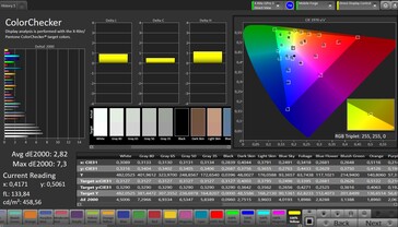 Precisione del colore CalMAN - display esterno