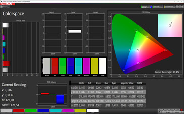 CalMAN: Spazio Colore - spazio colore target sRGB, profilo colore standard