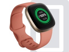 Gli utenti degli smartwatch Fitbit Sense e Versa 3 affermano che un nuovo aggiornamento ha compromesso la durata della batteria. (Fonte: Fitbit)