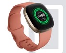 Gli utenti degli smartwatch Fitbit Sense e Versa 3 affermano che un nuovo aggiornamento ha compromesso la durata della batteria. (Fonte: Fitbit)