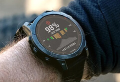 Il Fenix 7X ha ricevuto la sua prima versione beta. (Fonte: Garmin)