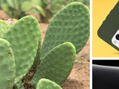 Cactus: ora per la protezione dello smartphone. (Fonte: Otterbox)