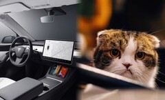 L'interno delle automobili sta cambiando, soprattutto in peggio. (Fonte: Tesla/Unsplash)