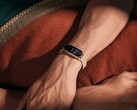 La Xiaomi Smart Band 9 è stata lanciata ufficialmente. (Fonte immagine: Xiaomi)