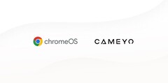 Google acquisisce Cameyo (Fonte: Google Cloud Blog)