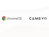 Google acquisisce Cameyo (Fonte: Google Cloud Blog)
