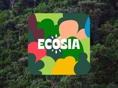 Ecosia è un motore di ricerca che pianta alberi con il denaro ricavato dalle ricerche delle persone (fonte: Ecosia)