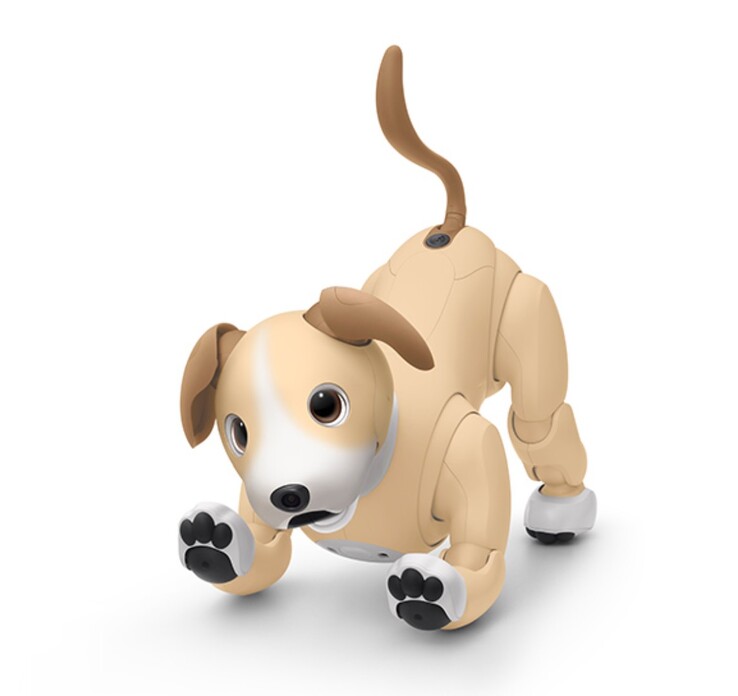 L'Aibo Kinako Edition è un modello in edizione limitata per il 2024, disponibile solo fino all'esaurimento delle scorte. (Fonte: Sony)