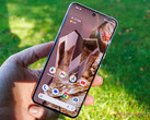 Il Pixel 8 Pro soffre di un forte sfarfallio del display PWM fin dall'inizio. (Fonte: Notebookcheck)