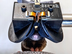 I ricercatori della Cornell University creano il prototipo di cuffia MouseGoggles Duo 3D VR per topi. (Fonte: Cornell University)