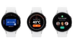 Samsung Wallet, Thermo Check e WhatsApp su Galaxy Watch (Fonte: Samsung)