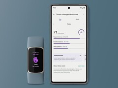 Fitbit ha rilasciato una nuova pagina di punteggio per la gestione dello stress per alcuni utenti. (Fonte: Fitbit)