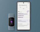 Fitbit ha rilasciato una nuova pagina di punteggio per la gestione dello stress per alcuni utenti. (Fonte: Fitbit)